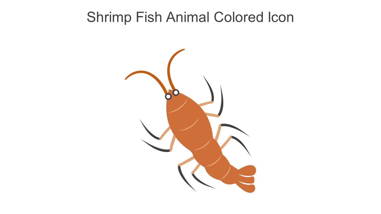 Shrimp Fish Animal Colored Icon In Powerpoint Pptx Png And Editable Eps Format