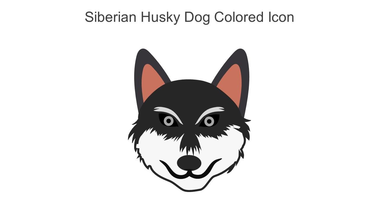 Siberian Husky Dog Colored Icon In Powerpoint Pptx Png And Editable Eps Format Slide01