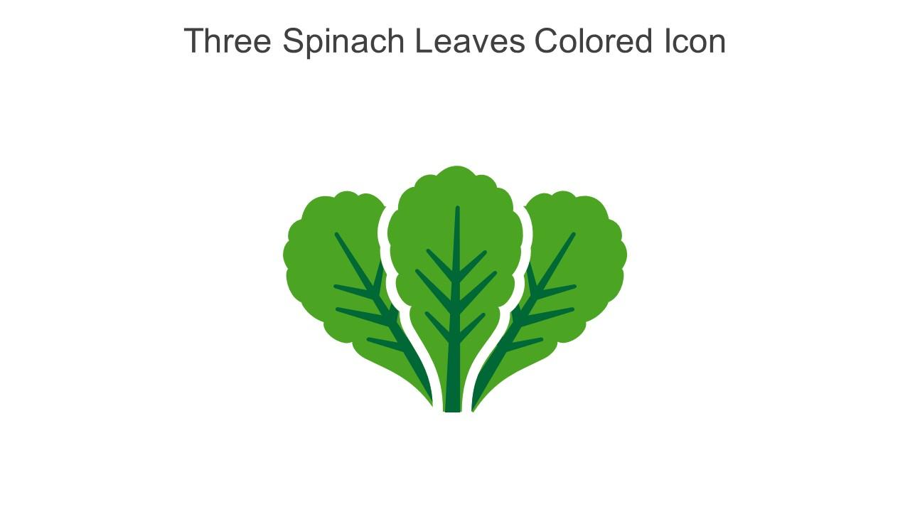 Three Spinach Leaves Colored Icon In Powerpoint Pptx Png And Editable Eps Format Slide01