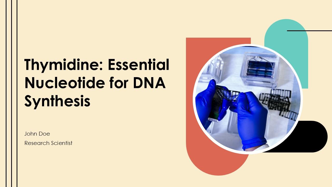 Thymidine Essential Nucleotide For DNA Synthesis PPT Presentation ST AI