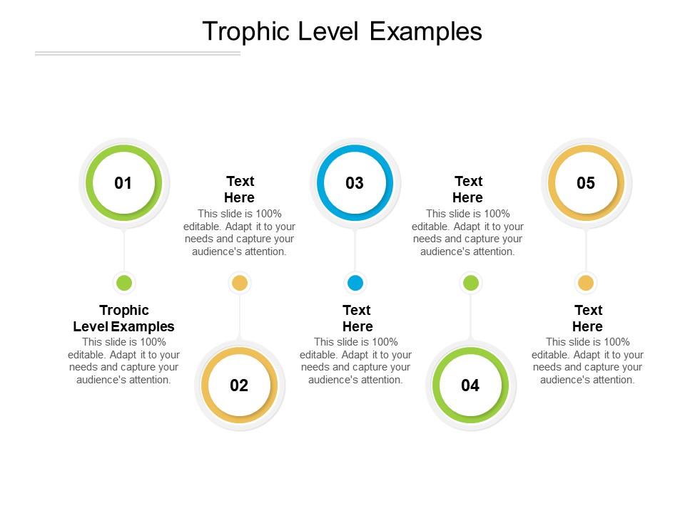 Trophic level examples ppt powerpoint presentation icon clipart cpb Slide01