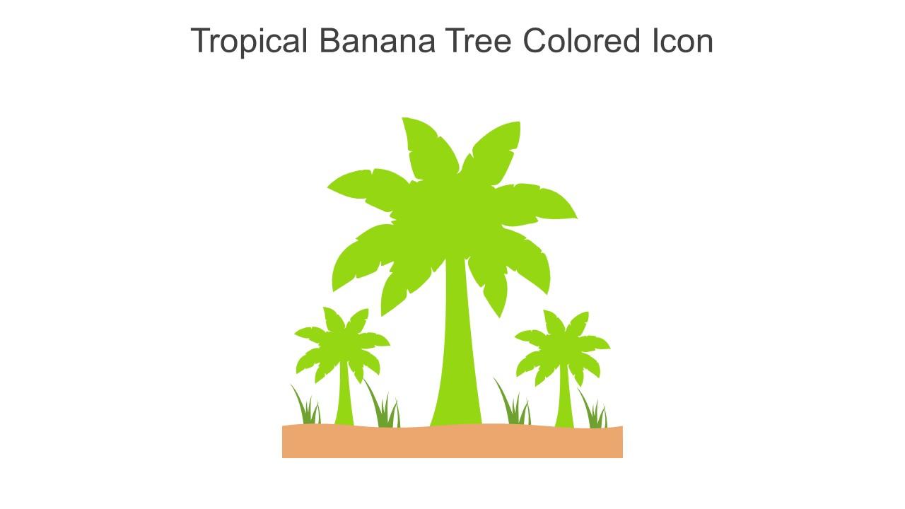 Tropical Banana Tree Colored Icon In Powerpoint Pptx Png And Editable Eps Format