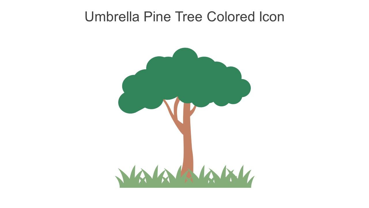 Umbrella Pine Tree Colored Icon In Powerpoint Pptx Png And Editable Eps Format