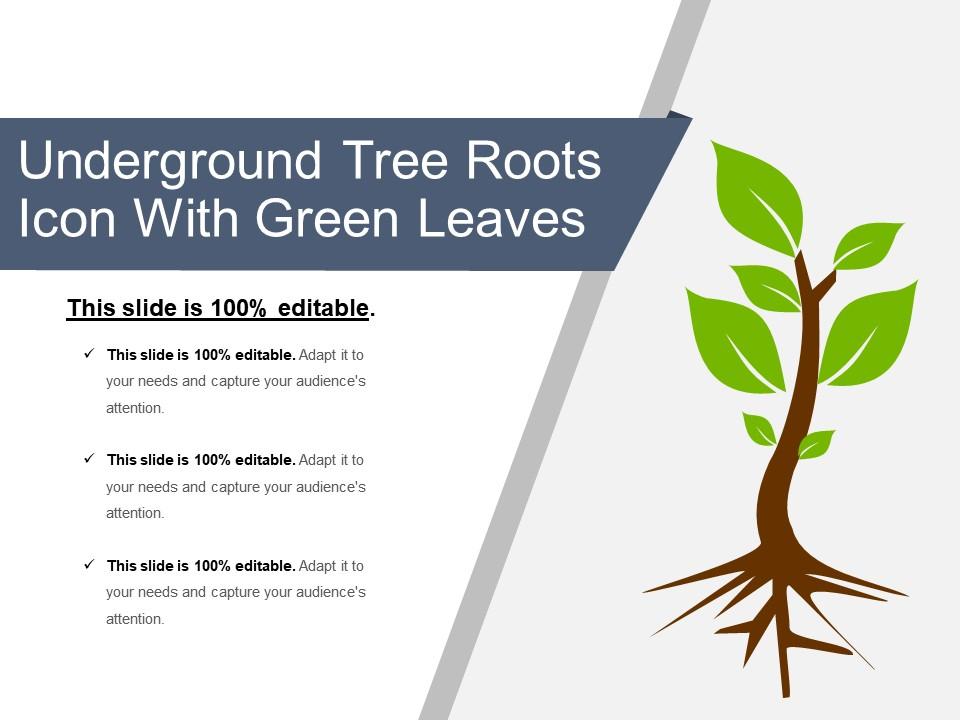 Underground tree roots icon with green leaves Slide01