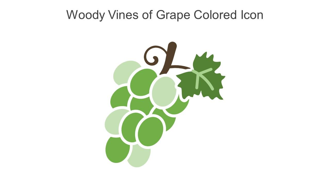 Woody Vines Of Grape Colored Icon In Powerpoint Pptx Png And Editable Eps Format Slide01