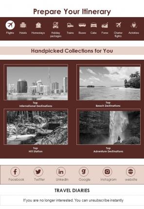 Travel Blogger Email Newsletter Bifold Presentation Report Infographic PPT PDF Document
