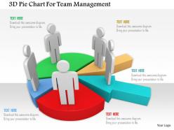 3d pie chart for team management ppt graphics icons