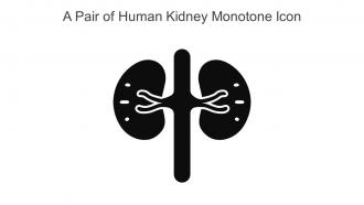 A Pair Of Human Kidney Monotone Icon In Powerpoint Pptx Png And Editable Eps Format