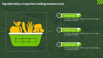Agroforestry Crops Harvesting Season Icon