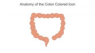 Anatomy Of The Colon Colored Icon In Powerpoint Pptx Png And Editable Eps Format