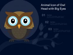 Animal icon of owl head with big eyes