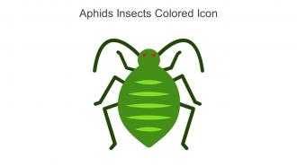 Aphids Insects Colored Icon In Powerpoint Pptx Png And Editable Eps Format