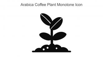 Arabica Coffee Plant Monotone Icon In Powerpoint Pptx Png And Editable Eps Format