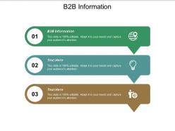 B2b information ppt powerpoint presentation icon slide portrait cpb