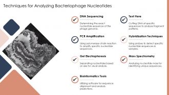 Bacteriophage Nucleotide PPT Designs ACP Attractive Aesthatic
