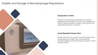 Bacteriophage Nucleotide PPT Designs ACP Customizable Engaging