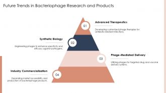 Bacteriophage Nucleotide PPT Designs ACP Designed Engaging
