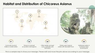 Chicoreus Asianus Fascinating Facts And Insights PPT Slides ST AI Slides Interactive