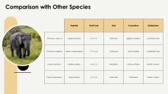 Chicoreus Asianus Fascinating Facts And Insights PPT Slides ST AI Impactful Interactive