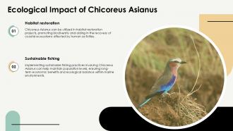 Chicoreus Asianus Fascinating Facts And Insights PPT Slides ST AI Downloadable Interactive