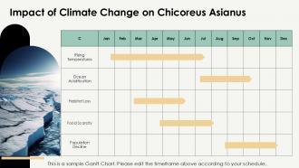 Chicoreus Asianus Fascinating Facts And Insights PPT Slides ST AI Compatible Interactive