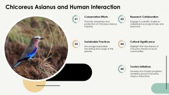 Chicoreus Asianus Fascinating Facts And Insights PPT Slides ST AI Professional Interactive