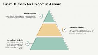 Chicoreus Asianus Fascinating Facts And Insights PPT Slides ST AI Professionally Interactive