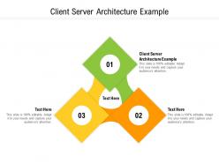 Client server architecture example ppt powerpoint presentation icon portrait cpb
