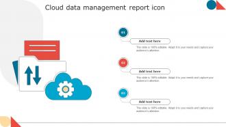 Cloud Data Management Report Icon