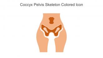Coccyx Pelvis Skeleton Colored Icon In Powerpoint Pptx Png And Editable Eps Format