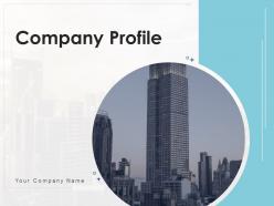 Company profile capital structure business information financial icon