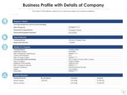 Company profile capital structure business information financial icon