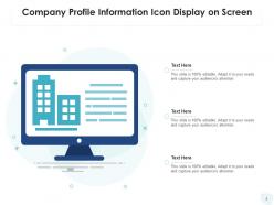 Company profile capital structure business information financial icon