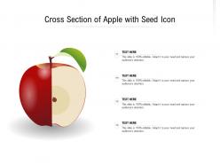 Cross section of apple with seed icon