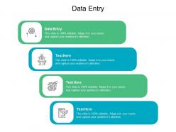 Data entrycpb ppt powerpoint presentation icon brochure cpb