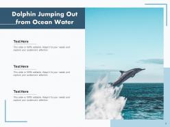 Dolphin swimming playing underwater mountains background