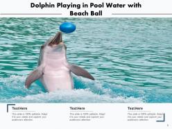 Dolphin swimming playing underwater mountains background