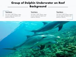 Dolphin swimming playing underwater mountains background