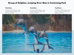 Dolphin swimming playing underwater mountains background