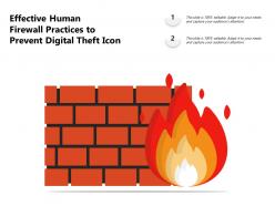 Effective human firewall practices to prevent digital theft icon