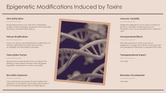 Epigenetic Modifications Induced By Toxins Toxicoepigenomics PPT Sample ST AI SS