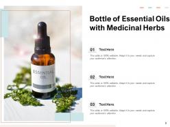Essential Oils Treatment Medicinal Flowers Eucalyptus Representing