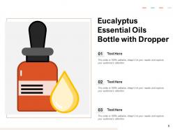Essential Oils Treatment Medicinal Flowers Eucalyptus Representing