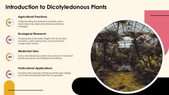 Exploring Dicotyledonous Plants Characteristics And Types PPT Sample ST AI Graphical Engaging