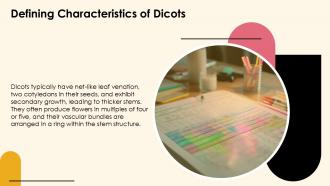 Exploring Dicotyledonous Plants Characteristics And Types PPT Sample ST AI Captivating Engaging
