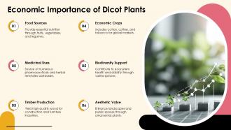 Exploring Dicotyledonous Plants Characteristics And Types PPT Sample ST AI Images Adaptable