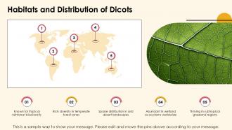 Exploring Dicotyledonous Plants Characteristics And Types PPT Sample ST AI Good Adaptable