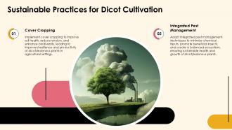 Exploring Dicotyledonous Plants Characteristics And Types PPT Sample ST AI Downloadable Adaptable
