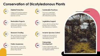 Exploring Dicotyledonous Plants Characteristics And Types PPT Sample ST AI Compatible Adaptable