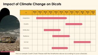 Exploring Dicotyledonous Plants Characteristics And Types PPT Sample ST AI Researched Adaptable